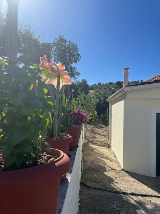 Alex House Apartment Парга Екстериор снимка